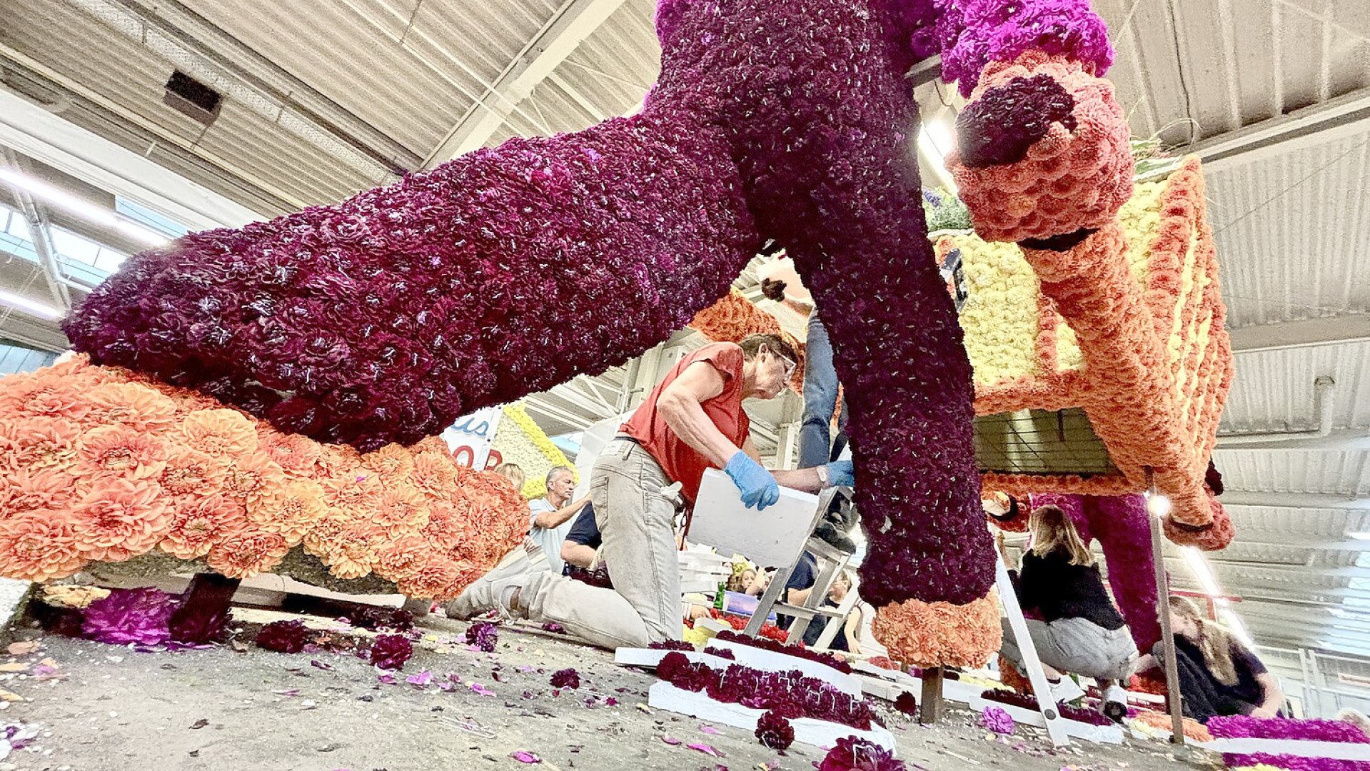 Bildergalerie vom Blütenstecken für den Korso in Wiesmoor - Bild 22
