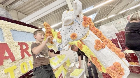 Bildergalerie vom Blütenstecken für den Korso in Wiesmoor - Bild 25