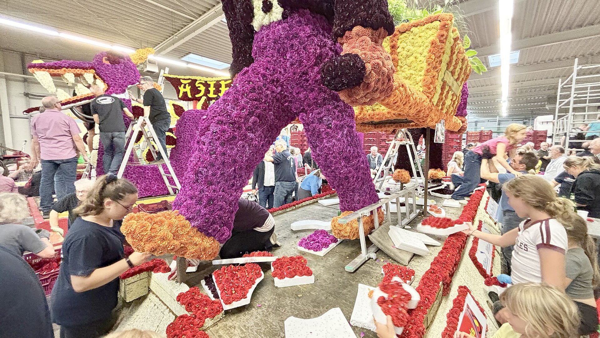 Bildergalerie vom Blütenstecken für den Korso in Wiesmoor - Bild 30