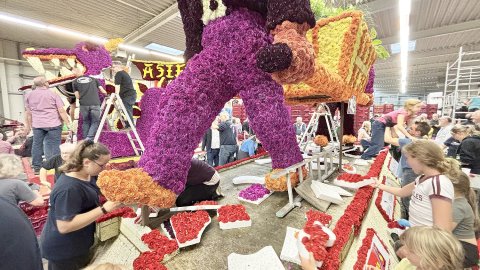 Bildergalerie vom Blütenstecken für den Korso in Wiesmoor - Bild 30