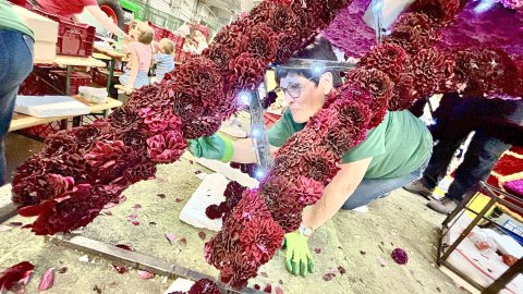Bildergalerie vom Blütenstecken für den Korso in Wiesmoor - Bild 34