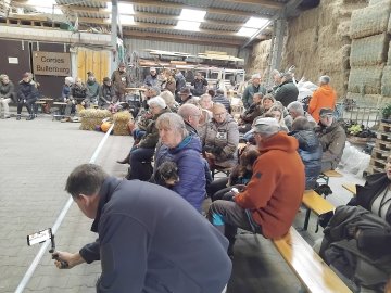 Dackelzuchtschau war gut besucht - Bild 4