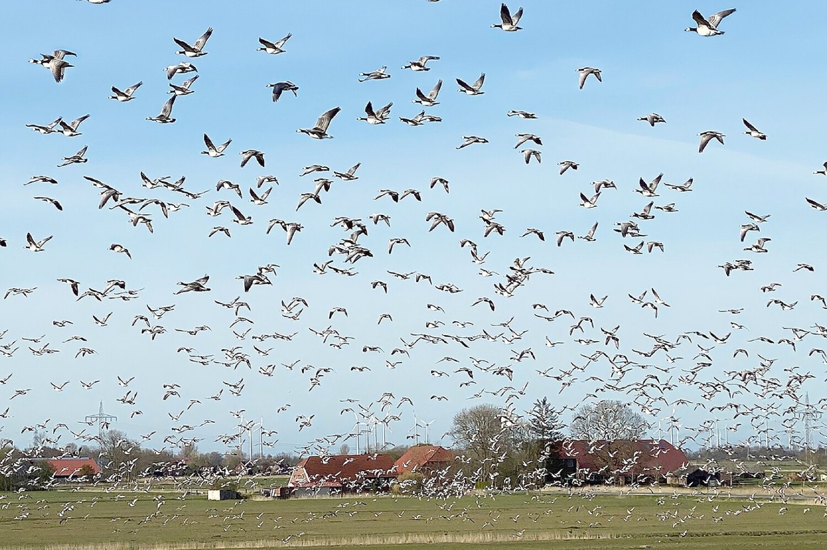 Kalender für 2026 mit alten Fotos aus dem Landkreis Leer - Bild 1