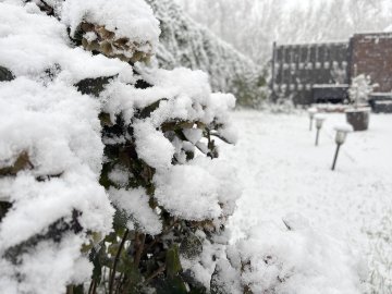 Schnee in Ostfriesland - Bild 10