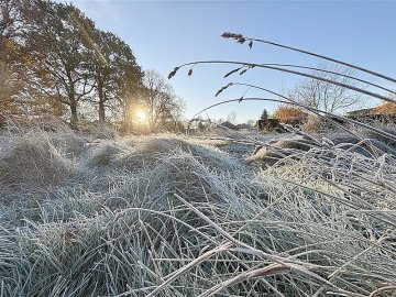 Schnee in Ostfriesland - Bild 12