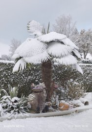 Schnee in Ostfriesland - Bild 15