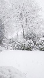 Schnee in Ostfriesland - Bild 19