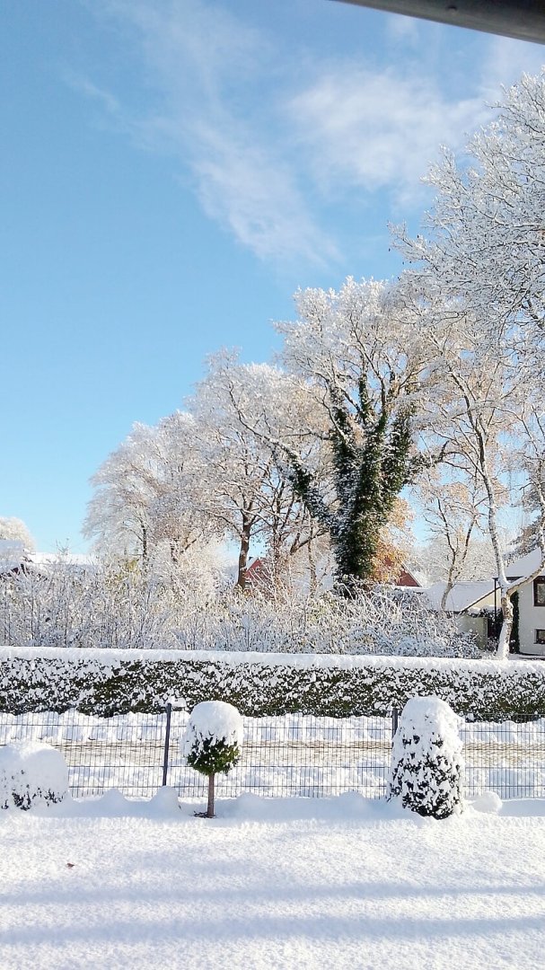 Schnee in Ostfriesland - Bild 20