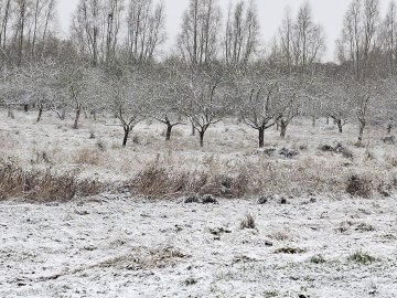 Schnee in Ostfriesland - Bild 22