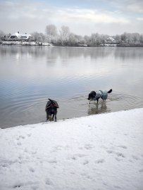 Schnee in Ostfriesland - Bild 30