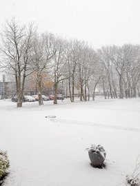 Schnee in Ostfriesland - Bild 39