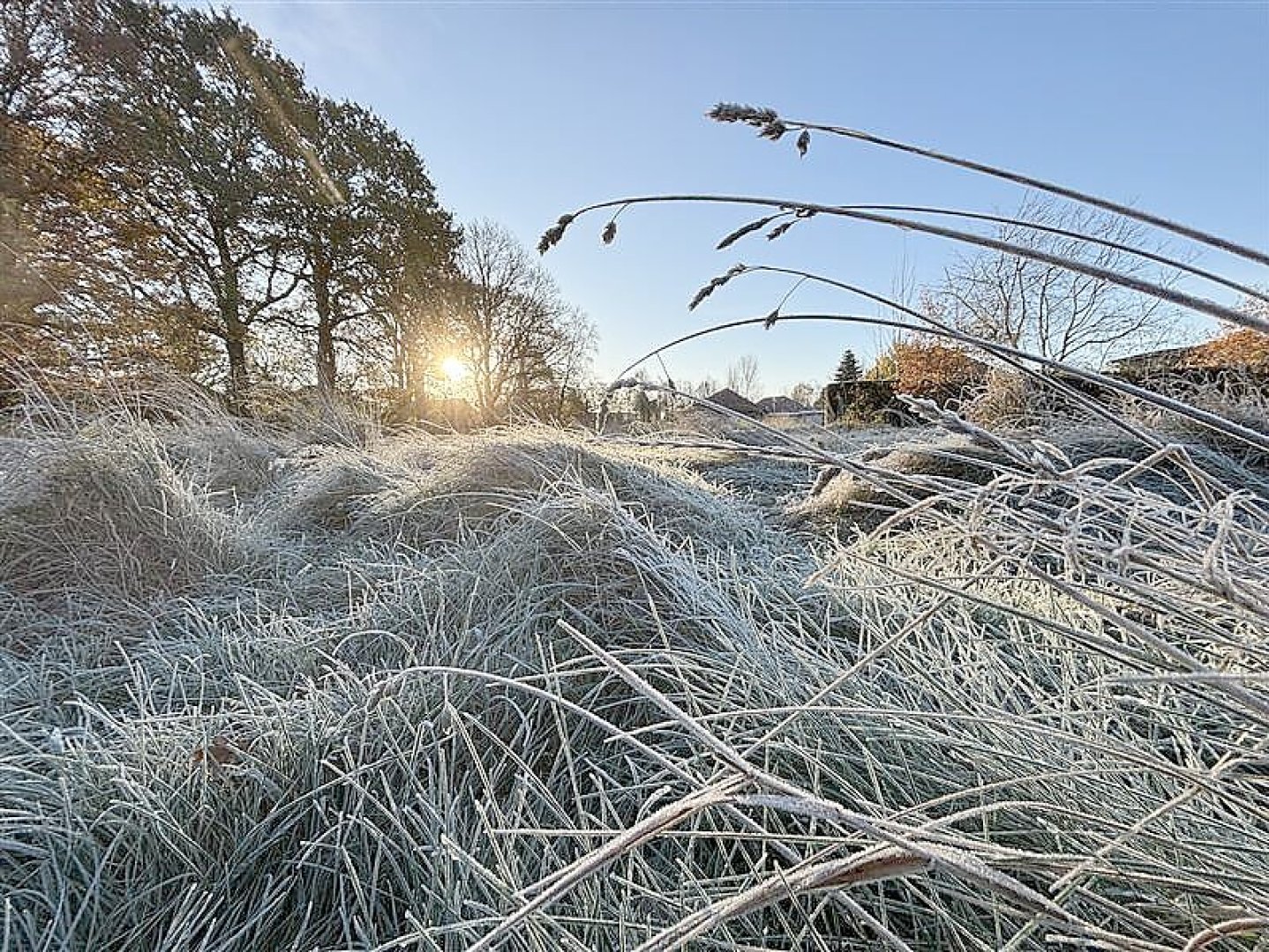 Schnee in Ostfriesland - Bild 12