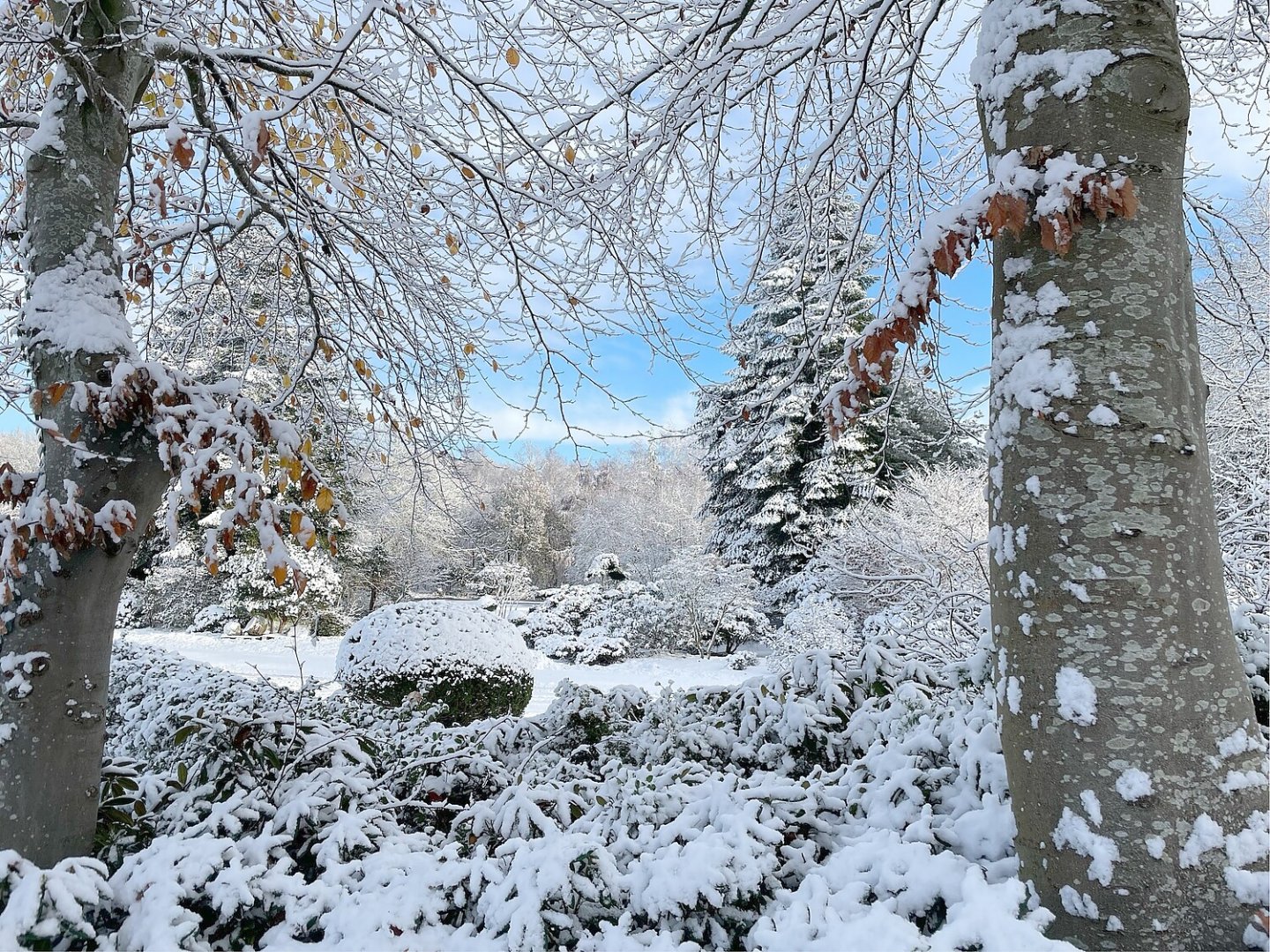 Schnee in Ostfriesland - Bild 24