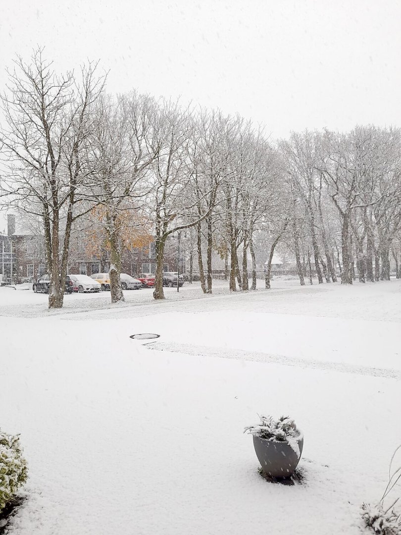 Schnee in Ostfriesland - Bild 39