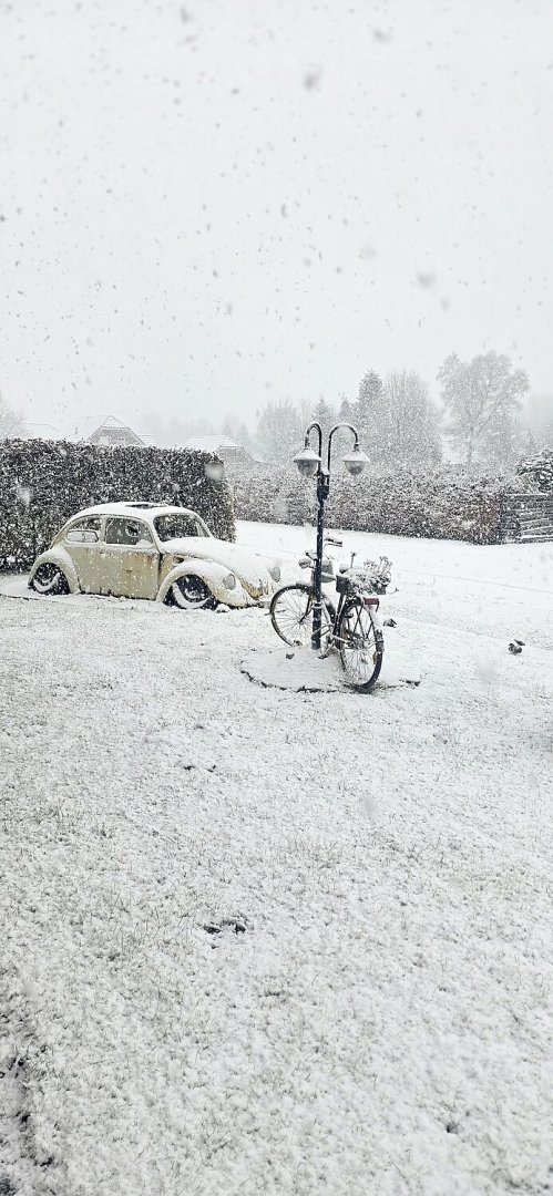 Schnee in Ostfriesland - Bild 47