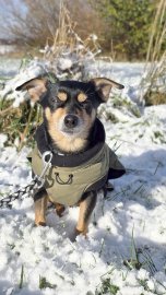 Schnee in Ostfriesland - Bild 64