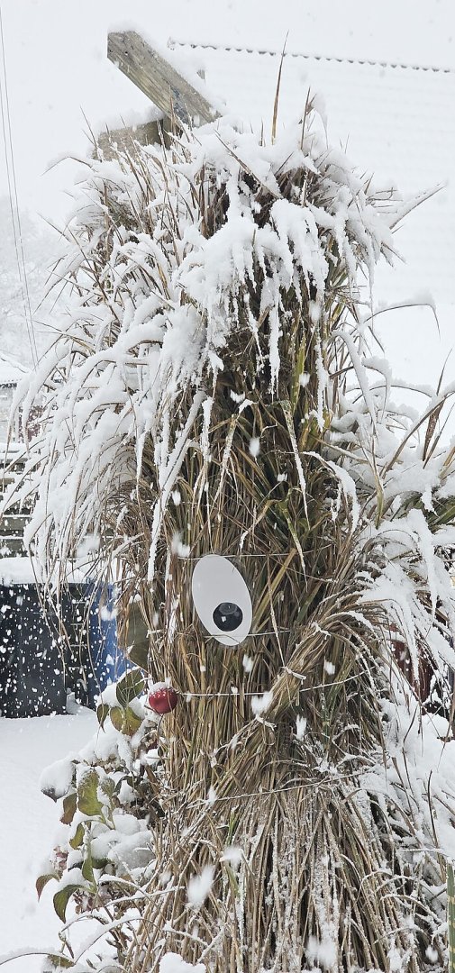 Schnee in Ostfriesland - Bild 74