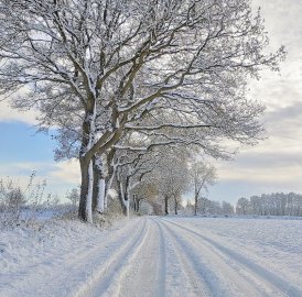Schnee in Ostfriesland - Bild 80