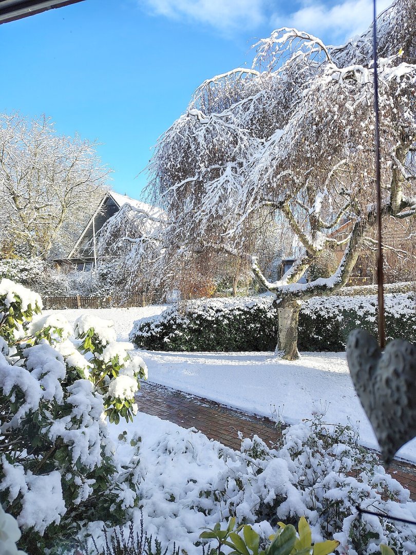 Schnee in Ostfriesland - Bild 92