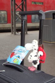 Eine Reporterkuh auf Kreuzfahrt - Bild 3
