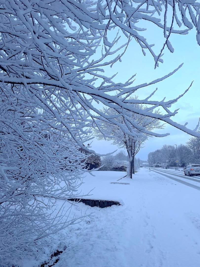 Schnee in Ostfriesland (Leserfotos, Teil 1) - Bild 8