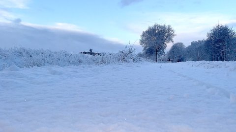 Schnee in Ostfriesland (Leserfotos, Teil 1) - Bild 9