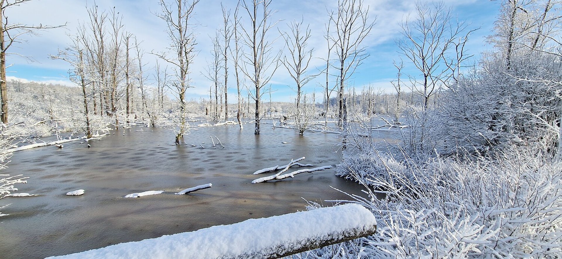 Schnee in Ostfriesland (Leserfotos, Teil 1) - Bild 16