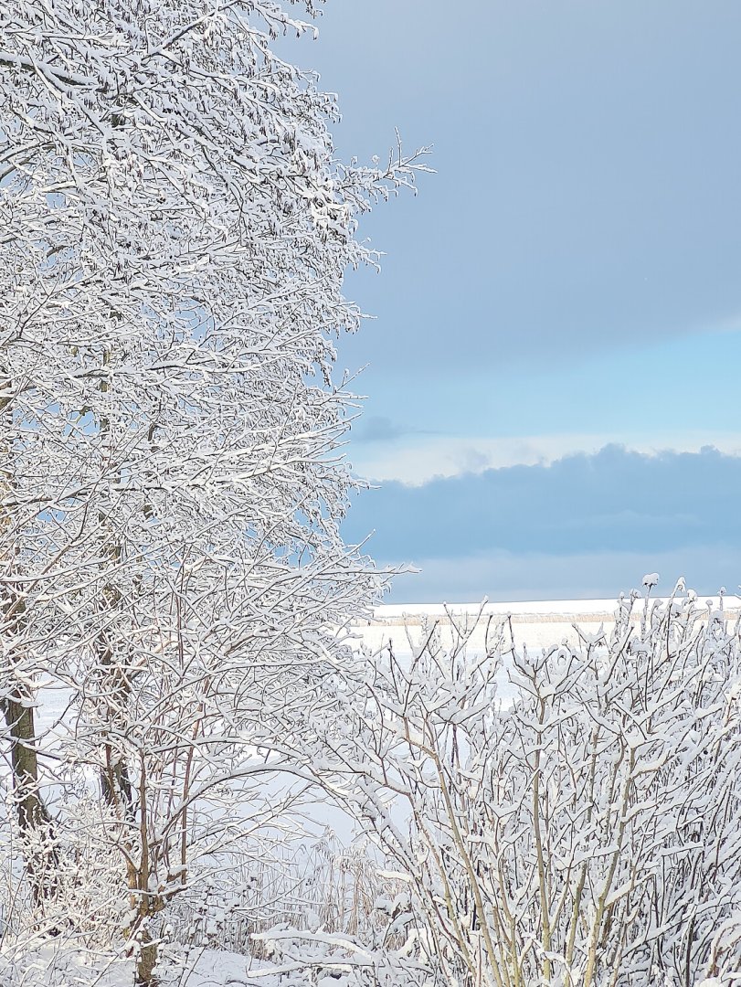 Schnee in Ostfriesland (Leserfotos, Teil 1) - Bild 26