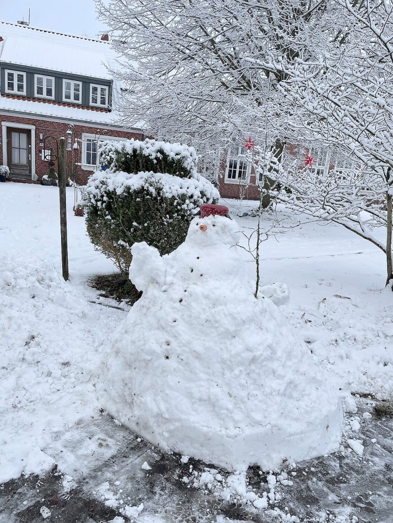 Schnee in Ostfriesland (Leserfotos, Teil 1) - Bild 50