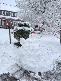 Schnee in Ostfriesland (Leserfotos, Teil 1) - Bild 50