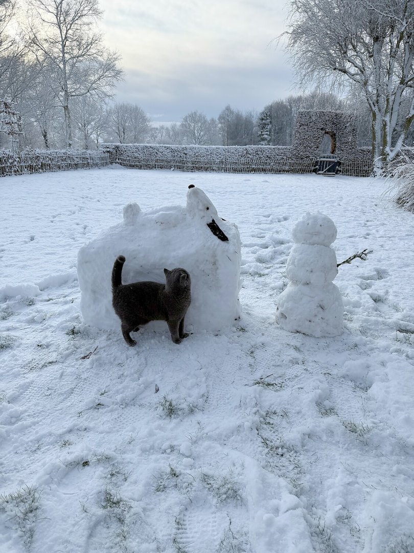 Schnee in Ostfriesland (Leserfotos, Teil 1) - Bild 58