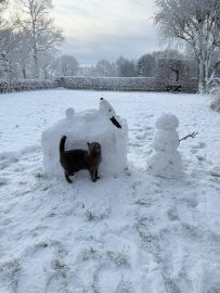 Schnee in Ostfriesland (Leserfotos, Teil 1) - Bild 58
