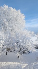 Schnee in Ostfriesland (Leserfotos, Teil 1) - Bild 62