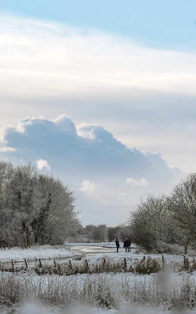 Schnee in Ostfriesland (Leserfotos, Teil 1) - Bild 68