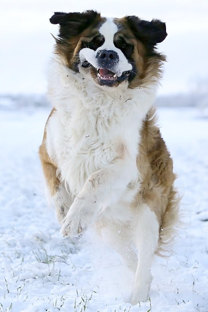 Schnee in Ostfriesland (Leserfotos, Teil 1) - Bild 72