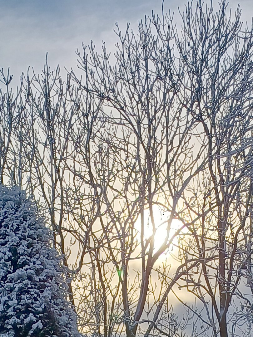 Schnee in Ostfriesland (Leserfotos, Teil 2) - Bild 6