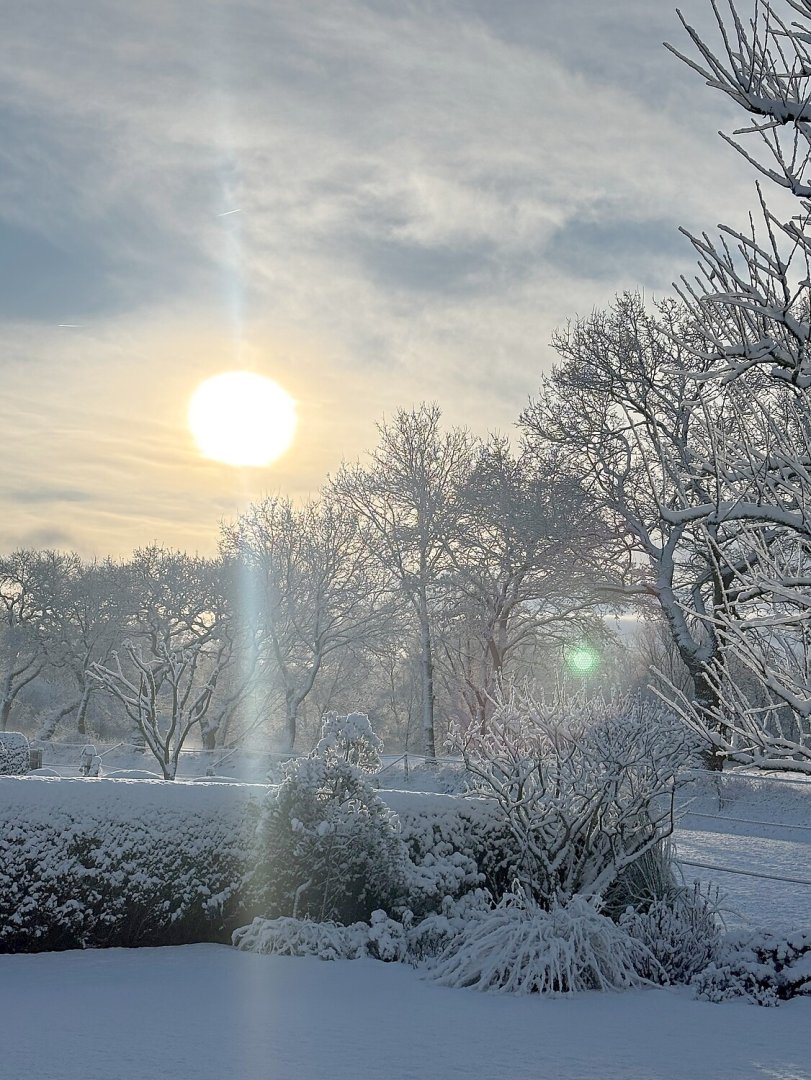 Schnee in Ostfriesland (Leserfotos, Teil 2) - Bild 12