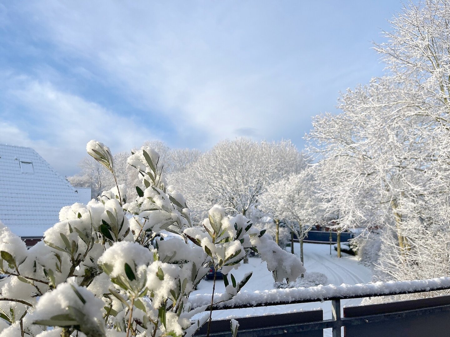 Schnee in Ostfriesland (Leserfotos, Teil 2) - Bild 13