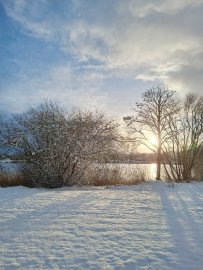 Schnee in Ostfriesland (Leserfotos, Teil 2) - Bild 17