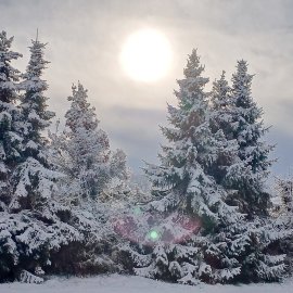 Schnee in Ostfriesland (Leserfotos, Teil 2) - Bild 22