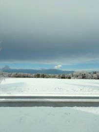 Schnee in Ostfriesland (Leserfotos, Teil 2) - Bild 27