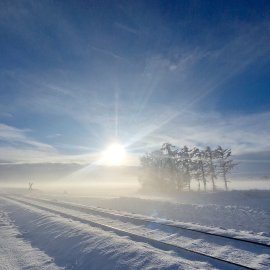 Schnee in Ostfriesland (Leserfotos, Teil 2) - Bild 31