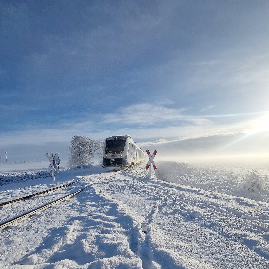 Schnee in Ostfriesland (Leserfotos, Teil 2) - Bild 32
