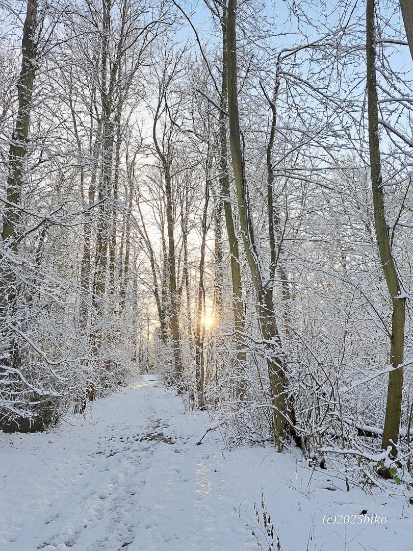 Schnee in Ostfriesland (Leserfotos, Teil 2) - Bild 37