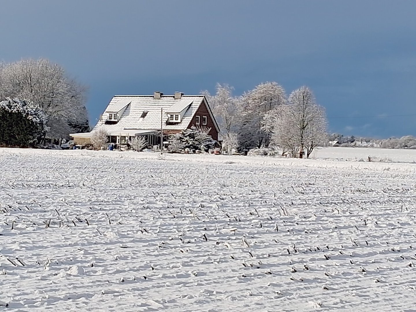 Schnee in Ostfriesland (Leserfotos, Teil 2) - Bild 57