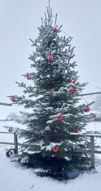 Schnee in Ostfriesland (Leserfotos, Teil 2) - Bild 59