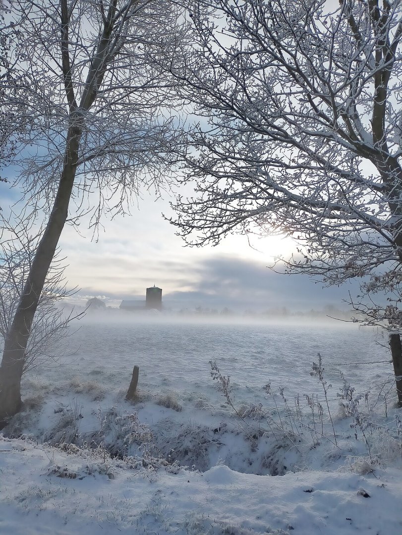 Schnee in Ostfriesland (Leserfotos, Teil 2) - Bild 78