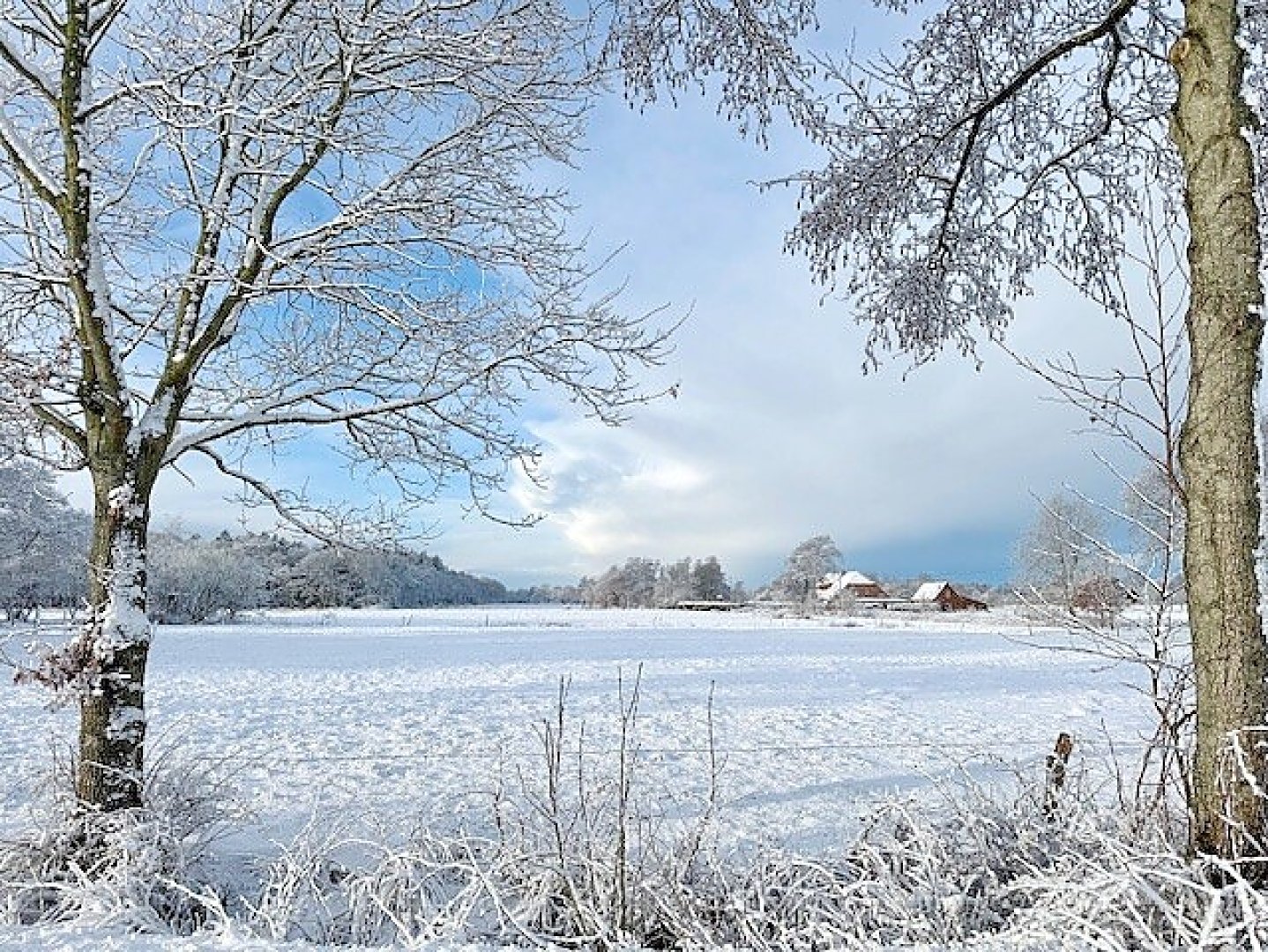 Schnee in Ostfriesland (Leserfotos, Teil 2) - Bild 80