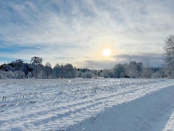 Schnee in Ostfriesland (Leserfotos, Teil 2) - Bild 83