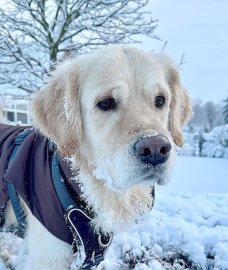 Schnee in Ostfriesland (Leserfotos, Teil 2) - Bild 86